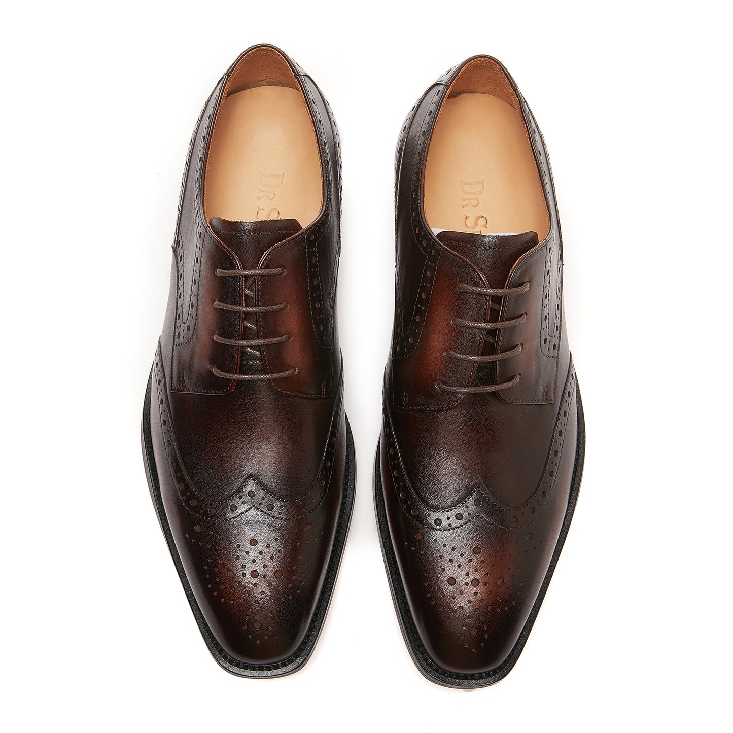 Vernon Wing Tip - Dark Brown